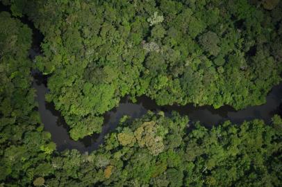 amazonia, reserva amazônia, wwf-brasil. renca, Estação Ecológica do Jari