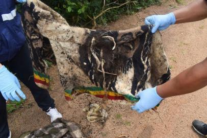 Duas ossadas encontradas em matagal no bairro Jardim Carvalho, em Porto Alegre. Roupas podem ajudar a identificar os corpos.