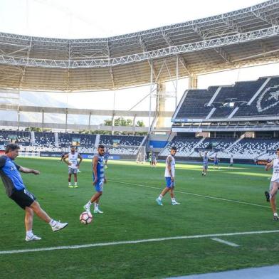 Grêmio treina no estádio Nilton Santos, o Engenhão, antes da partida contra o Botafogo, pelas quartas de final da Libertadores. Na foto, Renato e Kannemann