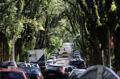  A rua Gonçalo de Carvalho, no bairro Indenpendência, foi considerada a mais bonita do mundo.