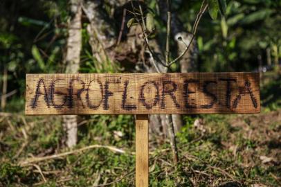  PORTO ALEGRE, RS, BRASIL, 12-09-2017. Agrofloresta ou Sistema Agroflorestal (SAF) é um sistema que reúne as culturas de importância agronômica em consórcio com a floresta. Um sistema agroflorestal é uma forma de produzir / cultivar alimentos de uma forma mais sustentável e ao mesmo tempo conservar ou recuperar a natureza. (FOTO: ANDERSON FETTER/AGÊNCIA RBS)Indexador: Anderson Fetter