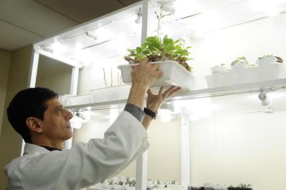  PORTO ALEGRE,RS,BRASIL.2017-09-14.Corte de recursos para pesquisa na agropecuaria, no Centro de Biotecnologia do Campus da UFRGS. Na foto: Gian Carlos (RONALDO BERNARDI/AGENCIA RBS).