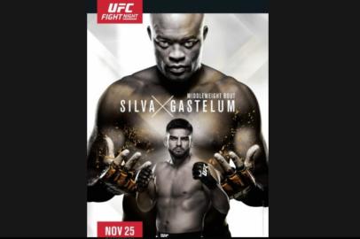 zol - anderson silva - ufc - ultimate - lutas