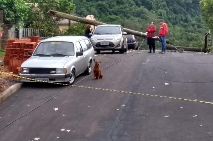 Brigada Militar / Brigada Militar/Divulgação