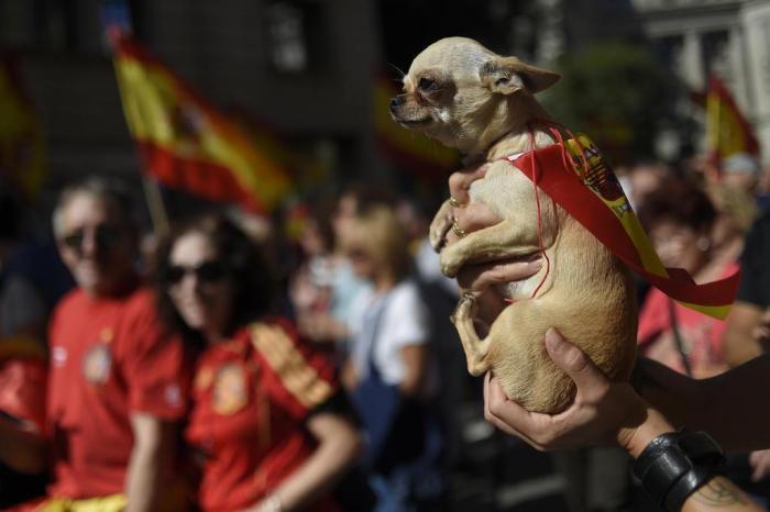 JORGE GUERRERO / AFP