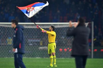 Serbias goalkeeper Vladimir Stojkovic waves a Serbian flag as he celebrates winning  the FIFA World Cup 2018 qualification football match between Serbia and Georgia at the Rajko Mitic stadium in Belgrade on October 9, 2017. / AFP PHOTO / ANDREJ ISAKOVIC