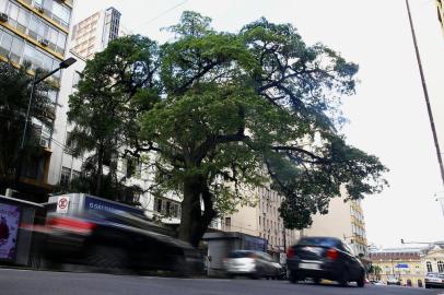  

PORTO ALEGRE, RS, BRASIL, 08/10/2017: Paineira histórica na calçada da Rua Siqueira Campos parece ignorada pela massa de pedestres e veículos. (FOTO: ISADORA NEUMANN/ AGÊNCIA RBS)