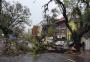 Devido a chuva em Porto Alegre, parte de árvore cai em rua do bairro Moinhos de Vento