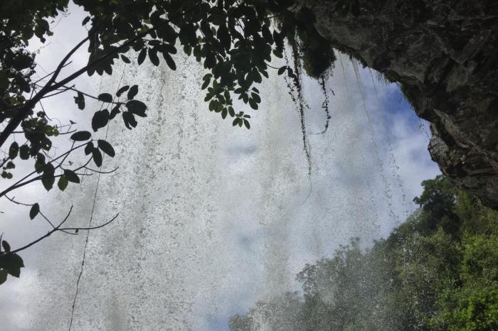 Rosane Tremea / Arquivo Pessoal