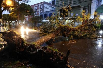 Porto Alegre tem queda de árvore e semáforos fora de operação devido à chuva nesta quinta-feira