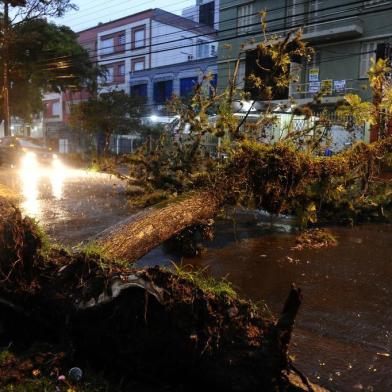 Porto Alegre tem queda de árvore e semáforos fora de operação devido à chuva nesta quinta-feira