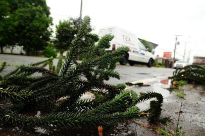  CAXIAS DO SUL, RS, BRASIL, 19/10/2017. Ambiental de clima em Caxias do Sul. (Diogo Sallaberry/Agência RBS)