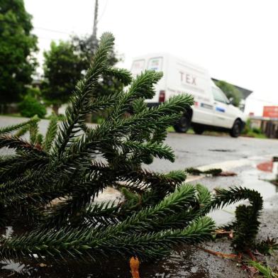  CAXIAS DO SUL, RS, BRASIL, 19/10/2017. Ambiental de clima em Caxias do Sul. (Diogo Sallaberry/Agência RBS)