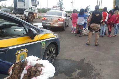  

ELDORADO DO SUL, RS, BRASIL, 21/10/2017. A Polícia Rodoviária Federal (PRF) apreendeu 200 gramas de maconha em um veículo na BR 290, em Eldorado do Sul, na Região Metropolitana. Conforme a PRF, dentro do carro, um Voyage prata, estavam oito mulheres e um bebê de menos de um ano de idade. Foto: Divulgação/Divulgação