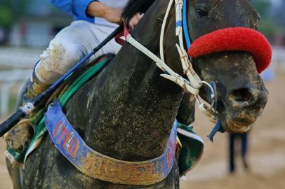  

PORTO ALEGRE-RS-BRASIL- 21/10/2017- 109º GP Bento Gonçalves de turfe. GP Bento Gonçalves, principal prova do turfe
 do Rio Grande do Sul. Prêmio vencido pelo Jockey A.L. Silva montando o Cavalo Ilustre Senador.  (Bagé In Concert).  FOTO FERNANDO GOMES/ZERO