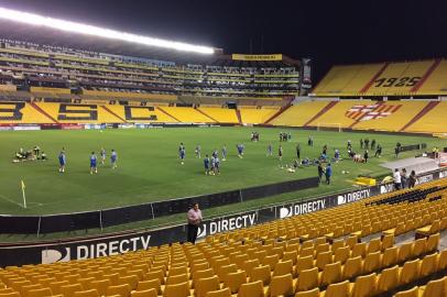 futebol, grêmio, barcelona-equ, 24102017