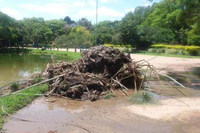 PORTO ALEGRE, RS, BRASIL, 24-10-2017.
Retroescavadeira retira lodo e entulho de de laguinho no Parcão.
IMAGEM: Júlia Burg/Agência RBS