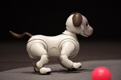  

Sonys latest entertainment robots aibo are displayed during a press preview at the companys headquarters in Tokyo on November 1, 2017.  

Japanese electronics giant Sony is marking the year of the dog by bringing back to life its robot canine -- packed with artificial intelligence and internet capability. / AFP PHOTO / Kazuhiro NOGI

Editoria: FIN
Local: Tokyo
Indexador: KAZUHIRO NOGI
Secao: business (general)
Fonte: AFP
Fotógrafo: STF