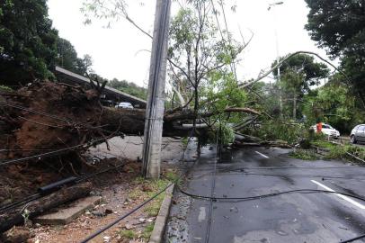  

uma árvore de grande porte caiu na estrada João de Oliveira Remião, nas imediações da avenida Bento Gonçalves. 