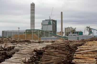 GUAIBA, RS, BRASIL, 30-04-2015: Madeira no pátio da fábrica da Celulose Riograndense, em Guaiba. A empresa realiza obras de ampliação da planta. É o maior investimento privado do Estado e deverá ficar pronto no próximo mês. (Foto: Mateus Bruxel / Agência RBS)