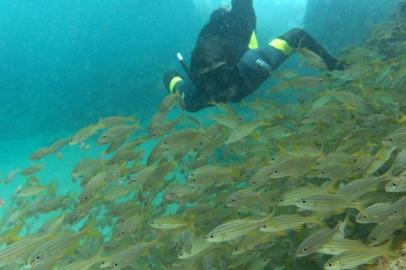  CAXIAS DO SUL, RS, BRASIl (01/10/2017). Zico Zugno escreveu o livro Pescador de Aventuras, obra que reproduz momentos de sua vida na juventude. (Roni Rigon/Pioneiro).