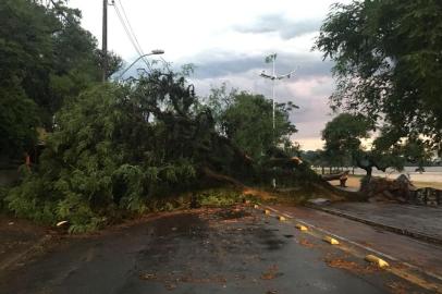 Uma árvore caiu na Avenida Guaíba, próximo ao número 10.748, no bairro Ipanema, zona sul de Porto Alegre, na noite desta quinta-feira (9). Segundo a Empresa Pública de Transporte e Circulação (EPTC), a queda do vegetal ocorreu devido ao vento forte que teve na região. 