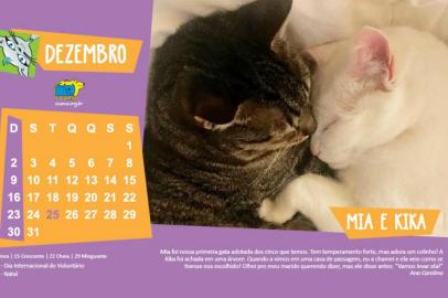 Calendário da Soama 2018