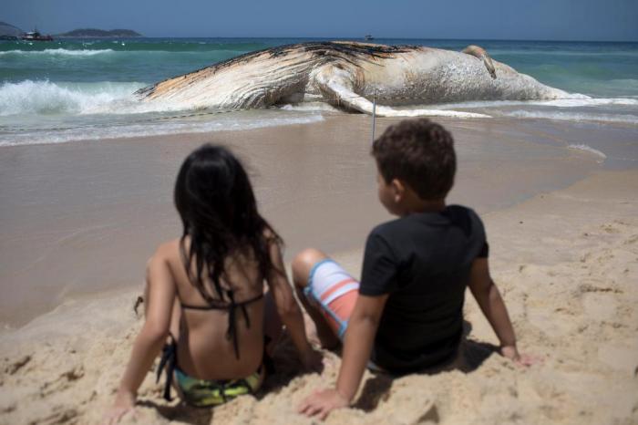 Leo Correa / AFP