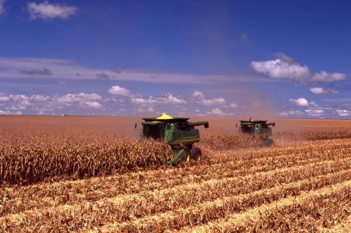 Divulgação / SLC Agrícola