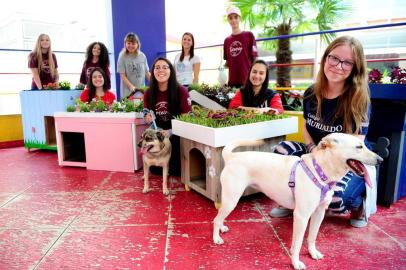  CAXIAS DO SUL, RS, BRASIL, 17/11/2017. Estudantes do terceiro ano do Colégio Murialdo, em Caxias, fazem casinhas com telhados ecológicos para incentivar a adoção de cães. Quem adotar um animal ganha uma casinha. Na foto, Micheli Pierozan, 17 anos, turma 301; Fernanda dos Santos, 17 anos, 302; Gabriela Uez, 17 anos, 302; Luciana Gecchelin Santini, 45, professora de biologia; Gabriela Vaz, 17 anos, 302, com o cão Alfa Romeu; Marina Manfro, 29, voluntária da Help Vira Latas; Brandow Rodrigues, 17 anos, 301; Débora Luiza Cerutti, 17 anos, 301; e Isadora Calixto Argenta, 17 anos, 302, com a cachorrinha Aysha Maria. (Diogo Sallaberry/Agência RBS)