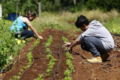  CARAZINHO, RS, BRASIL, 7/11/2017: Pauta do Campo e Lavoura sobre o futuro do agronegócio.