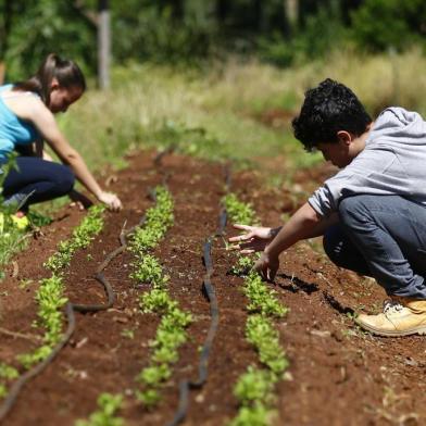  CARAZINHO, RS, BRASIL, 7/11/2017: Pauta do Campo e Lavoura sobre o futuro do agronegócio.