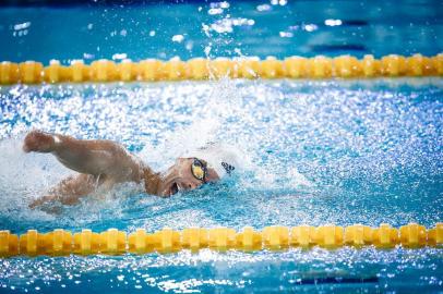  

Brasil chega a 27 medalhas no Mundial de Natação e faz melhor campanha da história