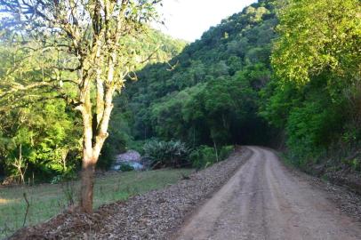 Caminho Autoguiado do Vale do Taquari (Caminhos de Tamanduá), no interior do município de Marques de Souza. Na foto, trecho do trajeto.