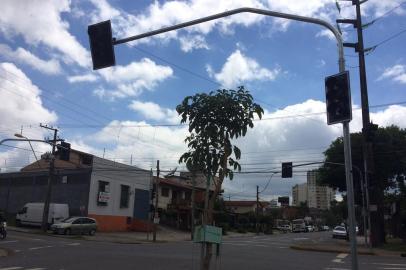 Rua Assis Brasil no bairro Jardelino Ramos, em Caxias do Sul, vai ganhar mão única.