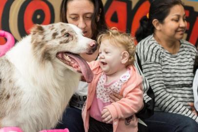  

PORTO ALEGRE, RS, BRASIL, 15-12-2017. Já ouviu falar nos apps de hospedagem pra cães?