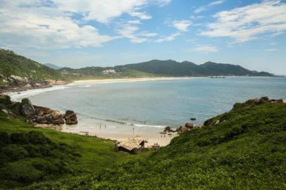  

FLORIANÓPOLIS, SC, BRASIL - 09/02/2016
DCpelasPraias visitou a trilha da Praia do Gravatá
Indexador: Marco Favero