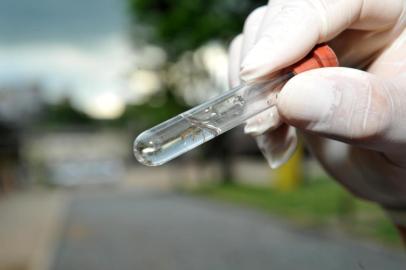  JOINVILLE,SC,BRASIL,18-01-2017.Mutirão contra a Dengue,bairro Boa Vista é o primeiro a recebervisita dos agentes de saúde.(Foto:Salmo Duarte/Agência RBS,Geral)