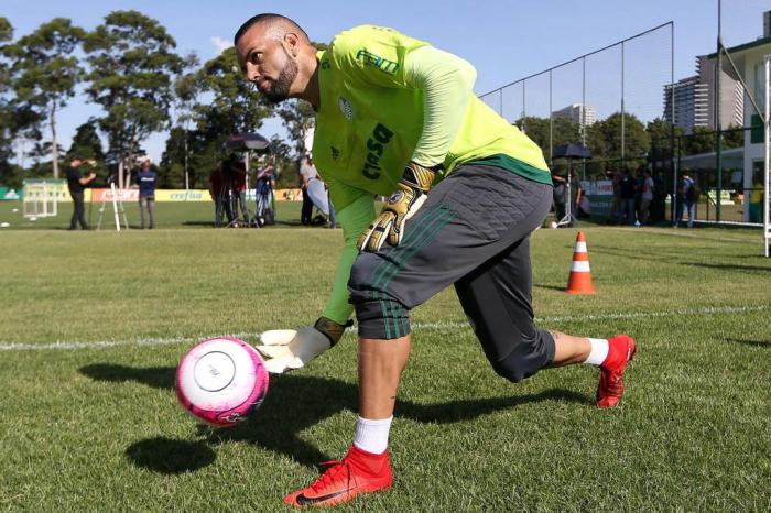 Cesar Greco / Palmeiras,Divulgação