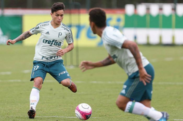 César Greco / Palmeiras/ Divulgação