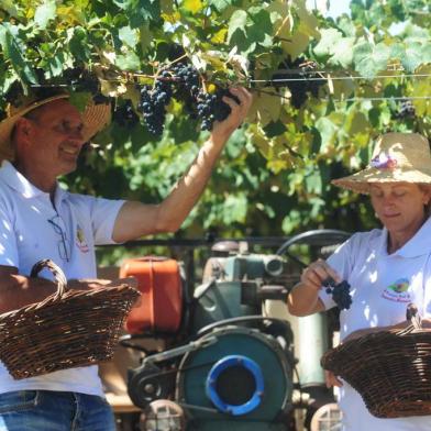  FLORES DA CUNHA, RS, BRASIL (09/01/2018) Propriedade Rural de Fernandes Muraro. Fernandes Muraro e a mulher Vania Branchini trabalham com o turismo rural.  (Roni Rigon/Pioneiro).