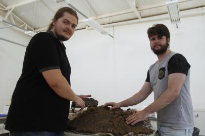 O fóssil de um tatu gigante pré-histórico é o mais recente e precioso objeto de estudo de um grupo de paleontólogos da Universidade Federal de Santa Maria (UFSM). O material foi encontrado no mês passado por um produtor rural de Alegrete, às margens do Rio Ibicuí. Agora o fóssil está no Centro de Apoio à Pesquisa Paleontológica (Cappa), em São João do Polêsine, na Quarta Colônia.