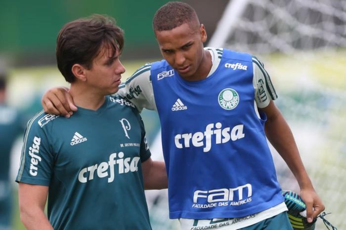 Cesar Greco / Palmeiras