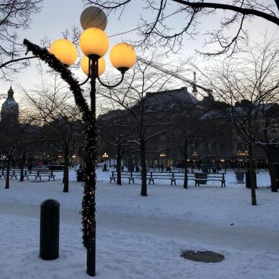 Jardim do Rei (Kungsträdgården), em Estocolmo, na Suécia. Antigamente restrito à realeza, posteriormente foi aberto ao público