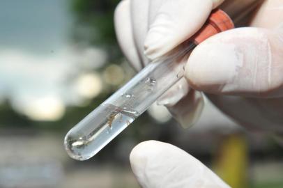  JOINVILLE,SC,BRASIL,18-01-2017.Mutirão contra a Dengue,bairro Boa Vista é o primeiro a recebervisita dos agentes de saúde.(Foto:Salmo Duarte/Agência RBS,Geral)