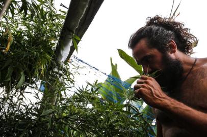  CABO POLONIO, ROCHA, URUGUAI, 16-01-2016: Luis Vivas, cultivador de plantas de maconha na praia uruguaia de Cabo Polonio. Foto para matéria especial sobre o Turismo da Cannabis no litoral uruguaio (FOTO FÉLIX ZUCCO/AGÊNCIA RBS, Editoria SuaVida).Indexador: Felix Zucco