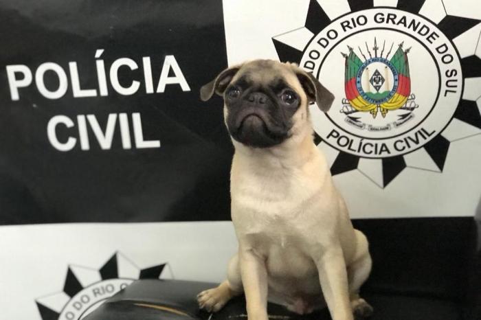 Divulgação / Polícia Civil