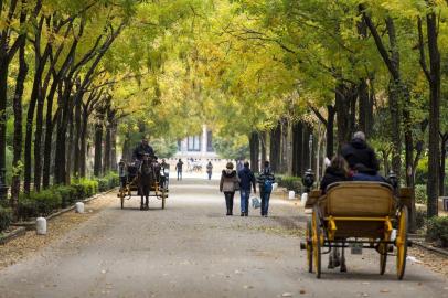 SPAIN-TORREGROSA-ART-LSPR-012318Parque de Maria Luisa in Seville, Spain, Dec. 9, 2017. Spain has long been a haven for writers and dreamers and wanderers, expats from colder lands. (Daniel Rodrigues/The New York Times)Editoria: TLocal: SEVILLEIndexador: DANIEL RODRIGUESFonte: NYTNSFotógrafo: STR