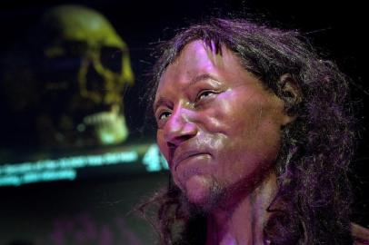 A full face reconstruction model made from the skull of a 10,000 year old man, known as Cheddar Man, Britains oldest complete skeleton is pictured during a press preview at the National History Museum in London on February 6, 2018.**PLEASE NOTE: PHOTOGRAPHS ARE EMBARGOED UNTIL 00.01 GMT February 7, 2018** / AFP PHOTO / Justin TALLIS