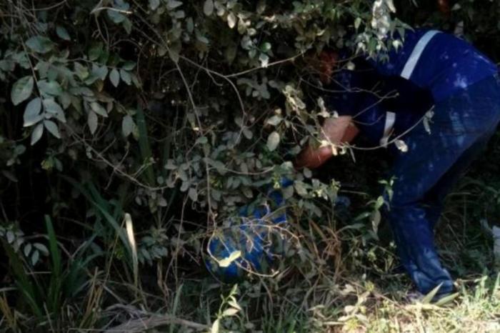 Divulgação / Polícia Civil